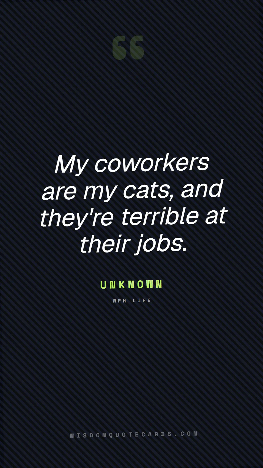 Quote by Unknown about zoom, remote life, funny: My coworkers are my cats, and they're terrible at ...