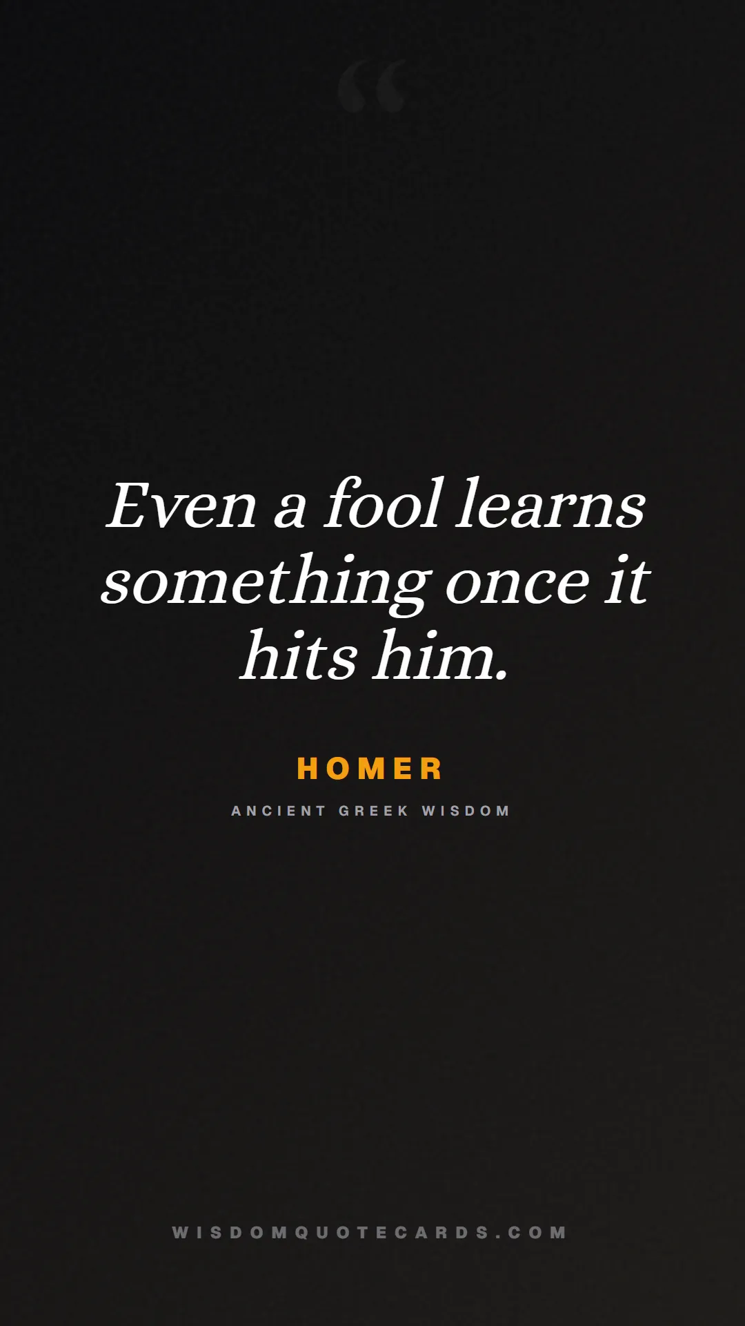 Quote by Homer about iliad, glory, legacy: Even a fool learns something once it hits him....