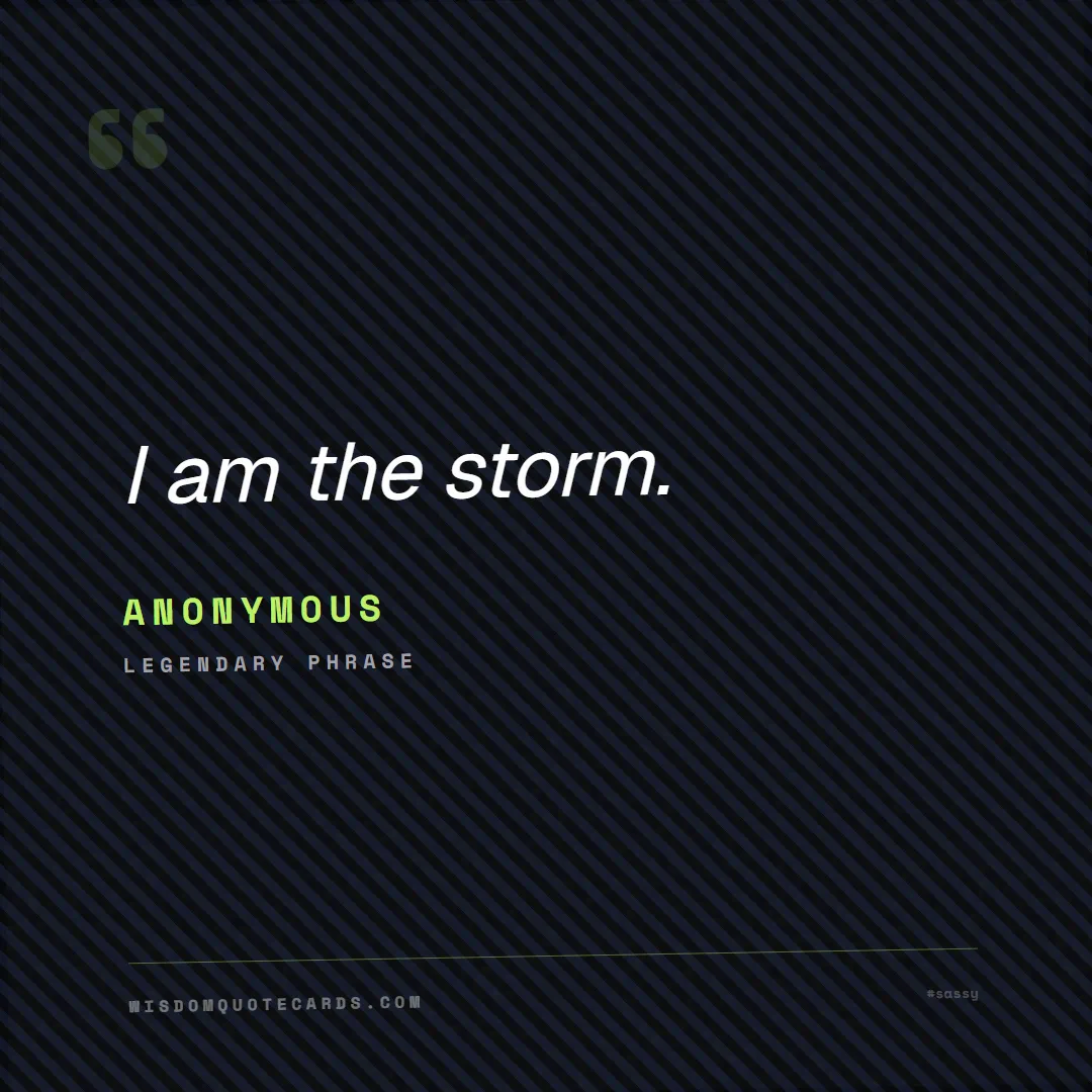 Quote by Anonymous about sassy, main character, selfie: I am the storm....