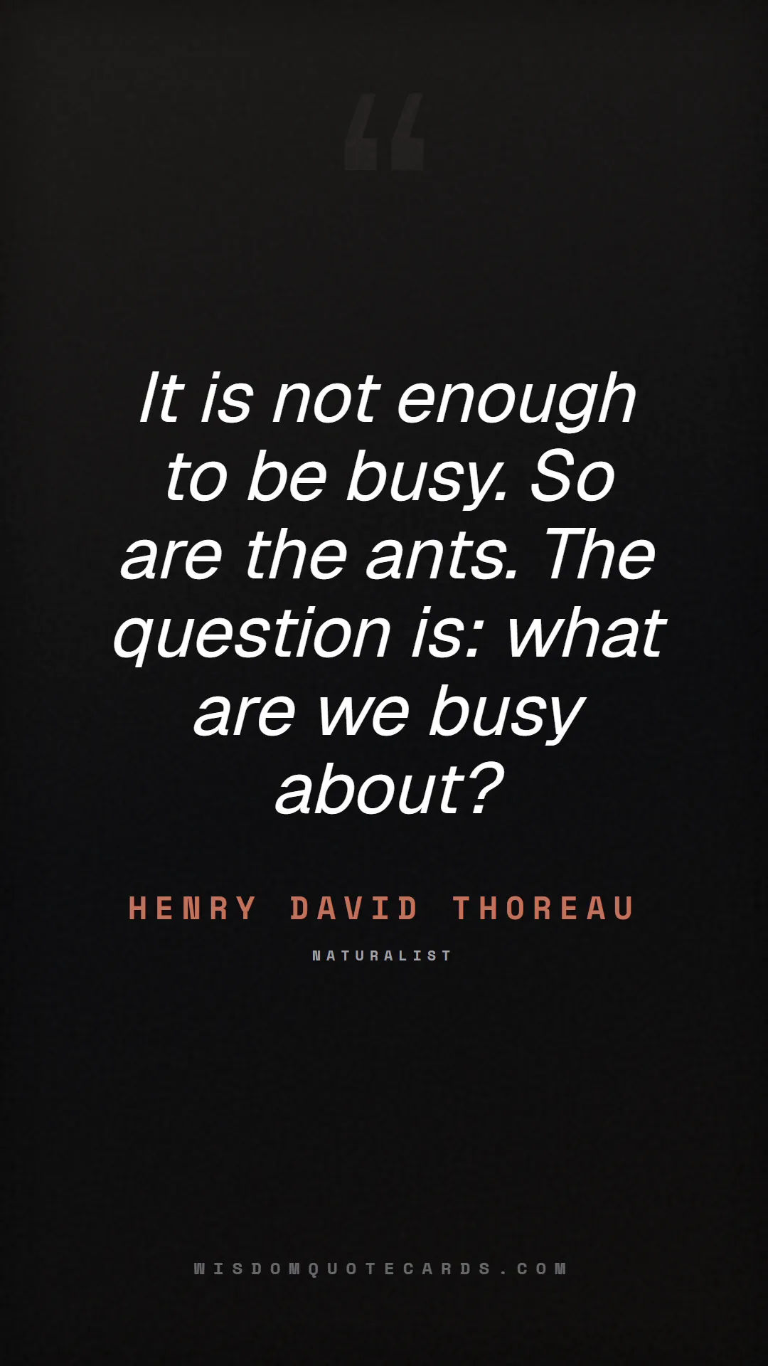 Quote by Henry David Thoreau about quiet quitting, boundaries, burnout: It is not enough to be busy. So are the ants. The ...
